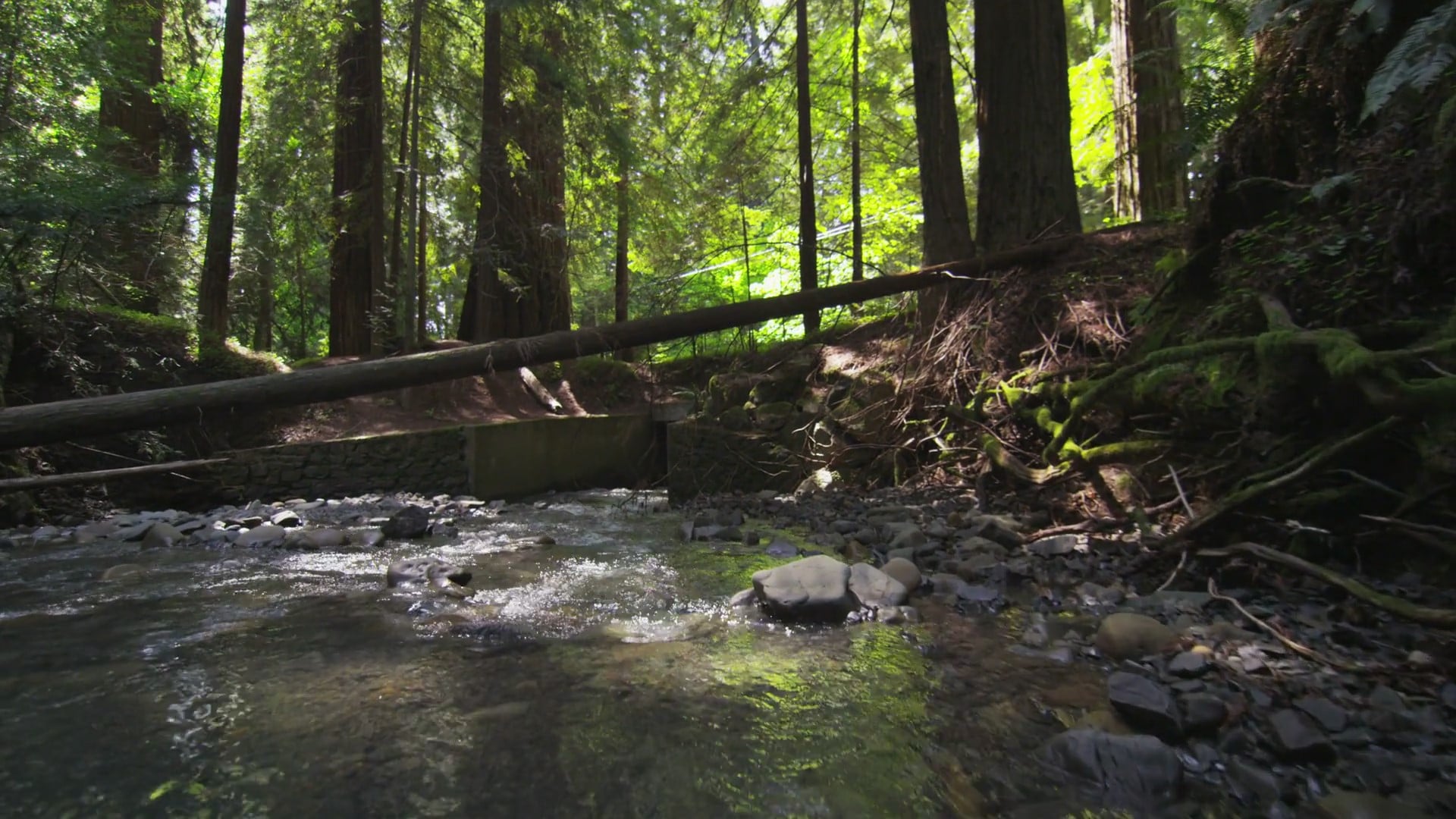 Biological resources fieldwork