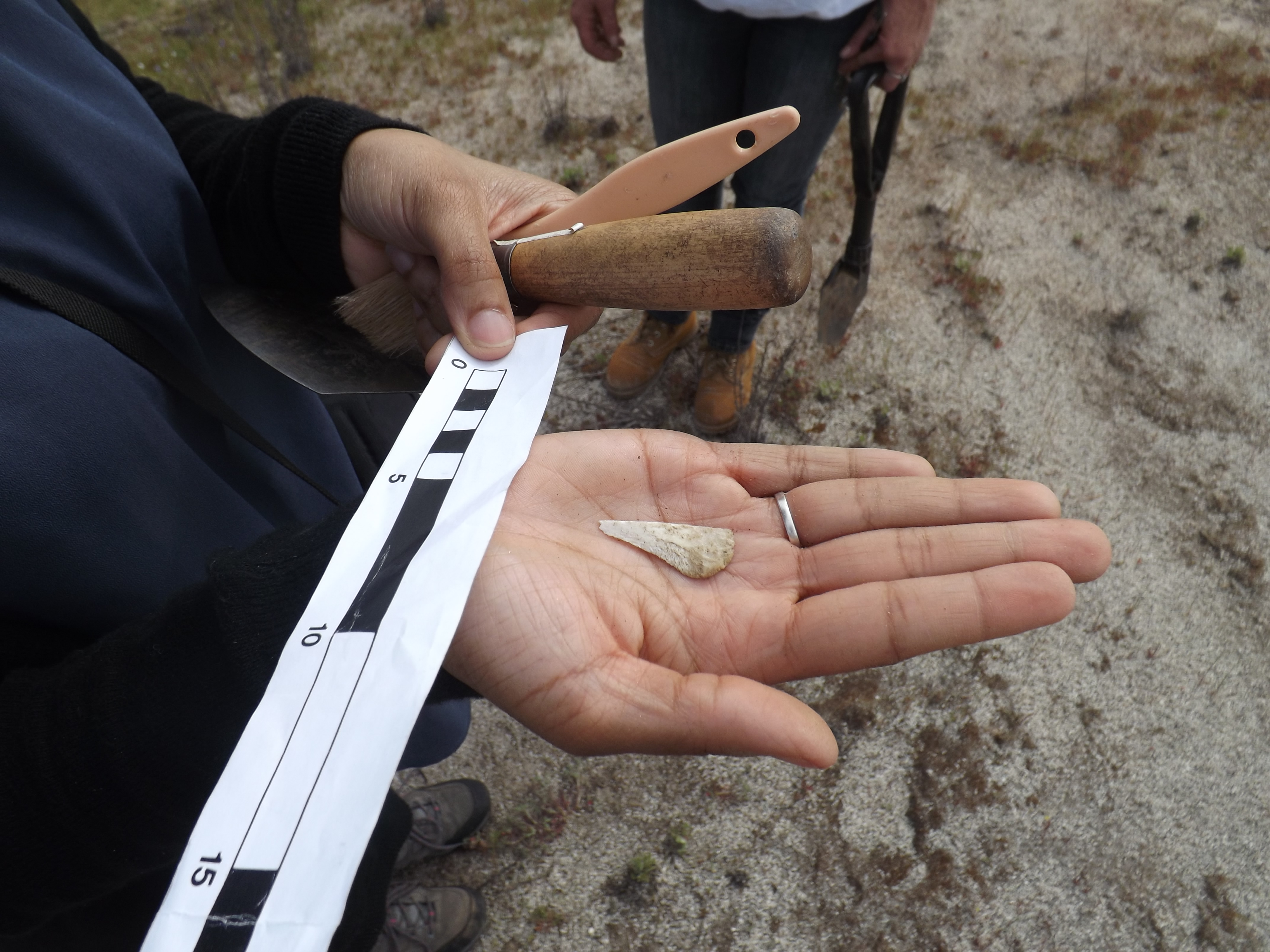 Cultural resources artifact recorded with a scale bar